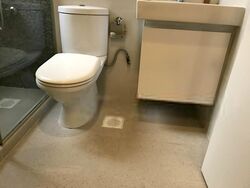 Eastern Lagoon (D15), Condominium #485885731